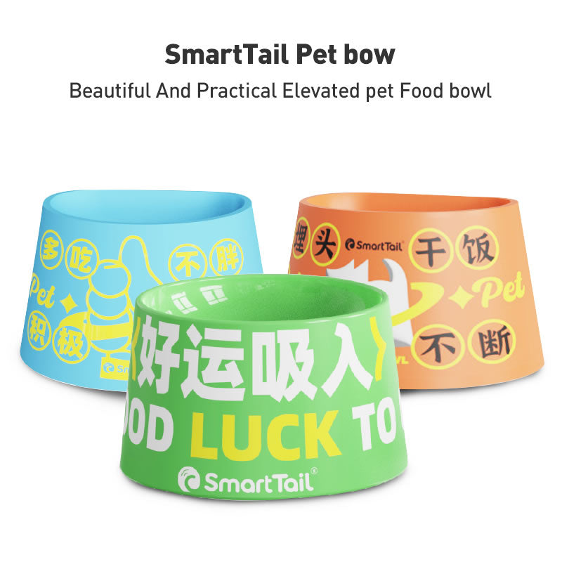 Elevated Cat Food Bowl