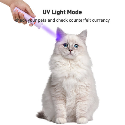 Interactive Laser Pet Teaser Toy