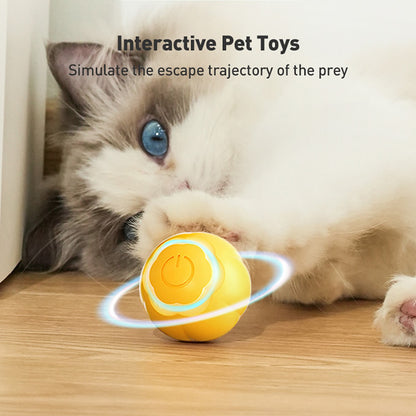 USB Rechargeable Cat Toy Green Petal